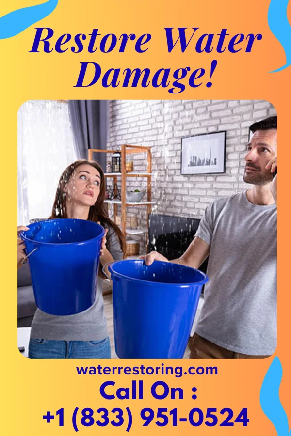 water restoration Sentinel Flood Cleanup Specialists Lumberton