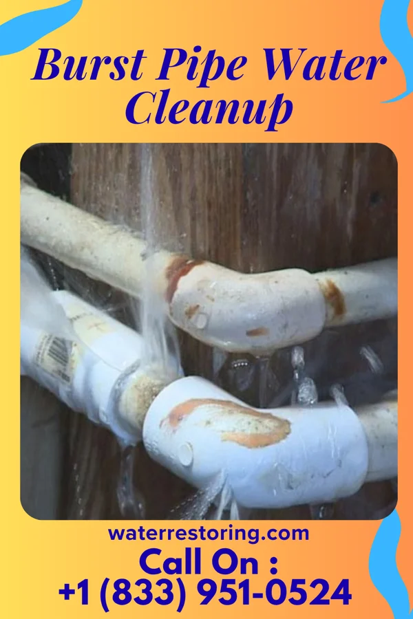 Burst Pipe Water Cleanup in Lumberton, NC